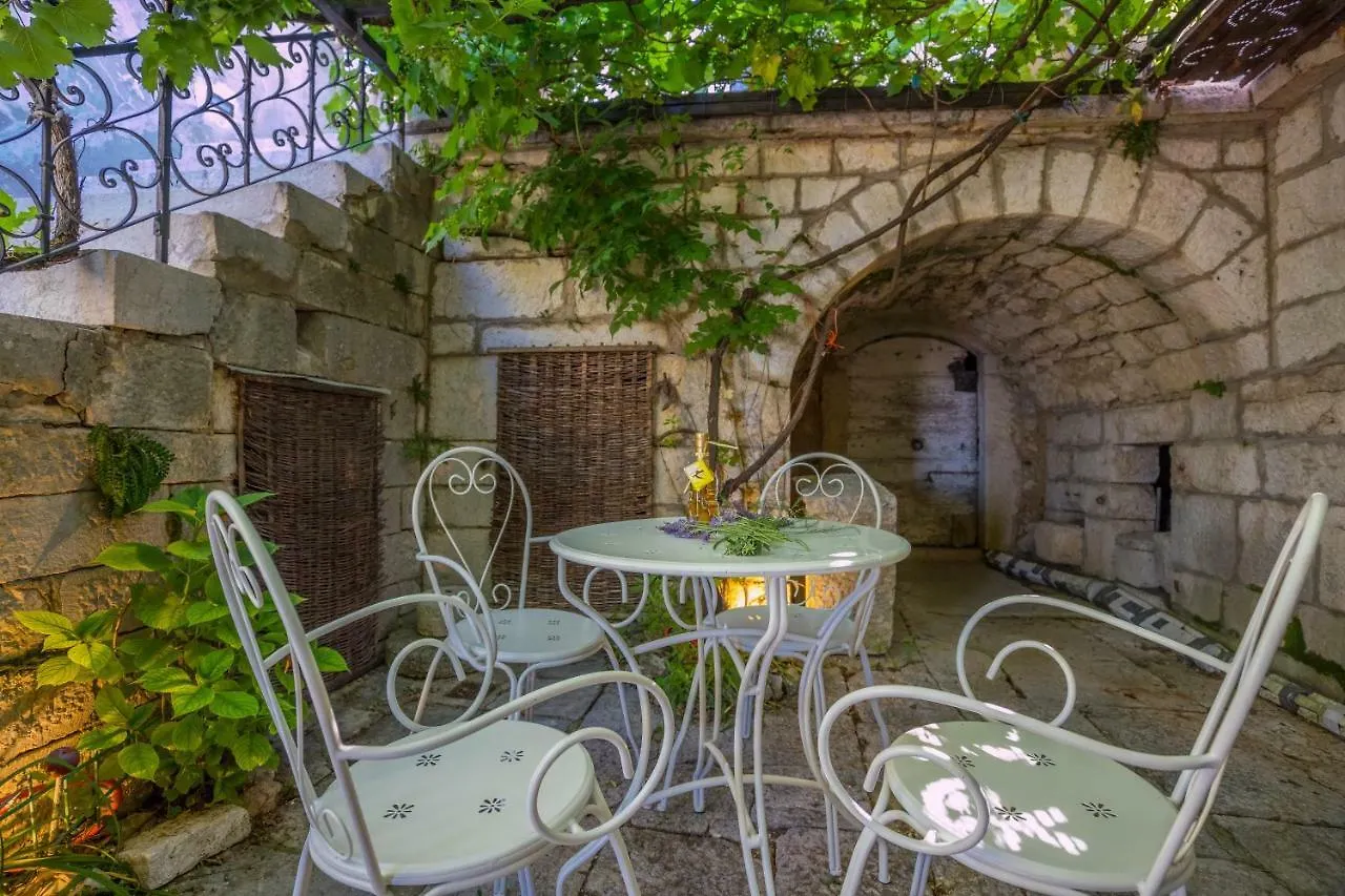 Villa Ivana 1903 ツリクヴェニツァ